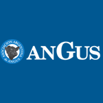 Angus